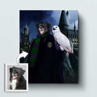 Thumbnail for House Slytherpaw w/ Owl