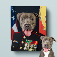 Thumbnail for Marine