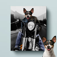 Thumbnail for Motorcycle Rider
