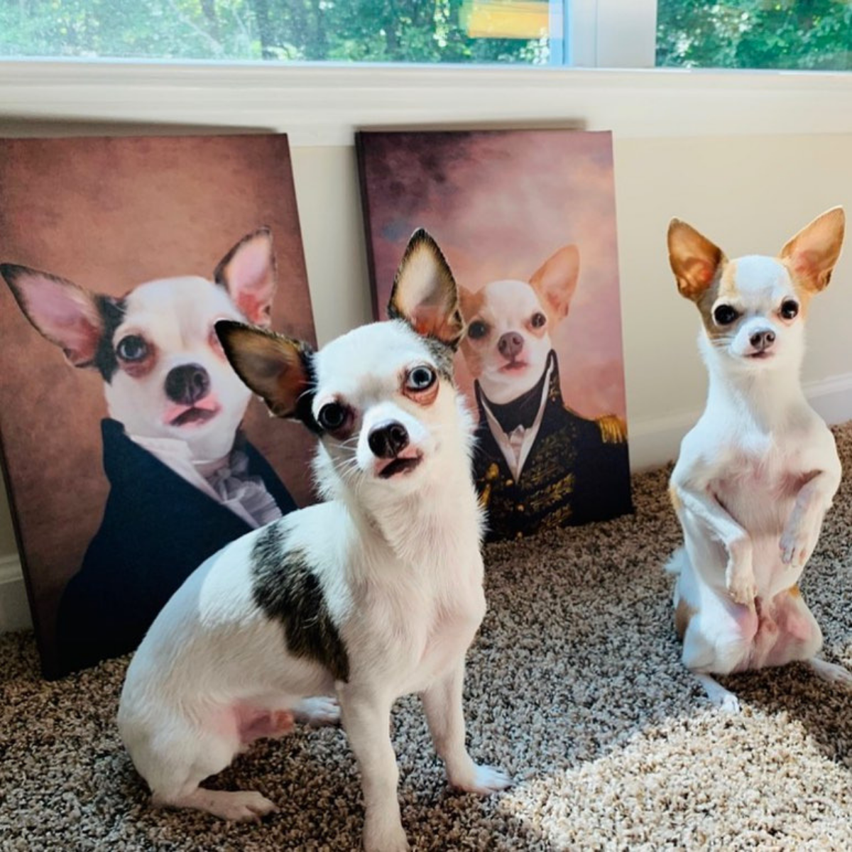 Ambassador Custom Pet Portrait - Pet Portraits