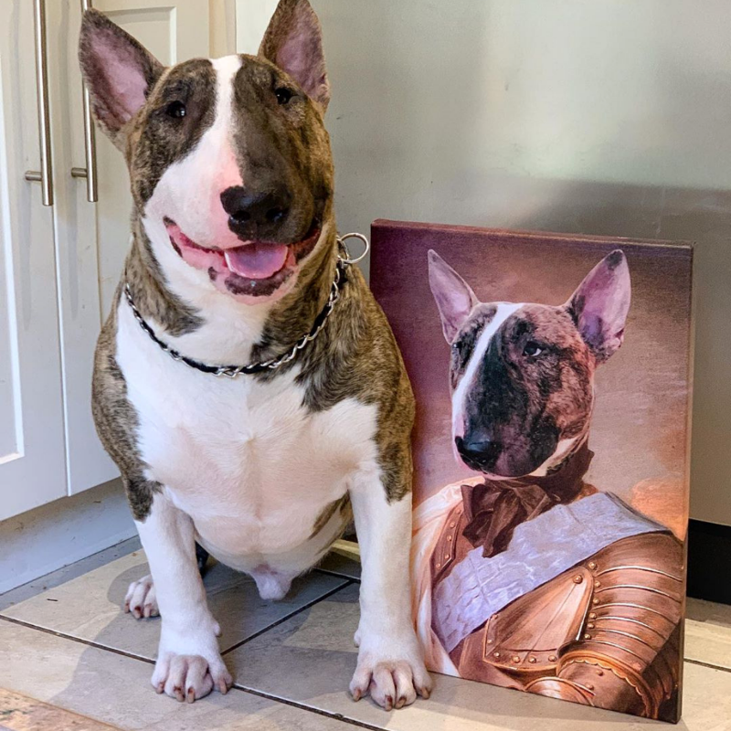 Knight Custom Pet Portrait - Pet Portraits