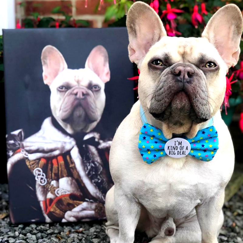 King Custom Pet Portrait - Pet Portraits