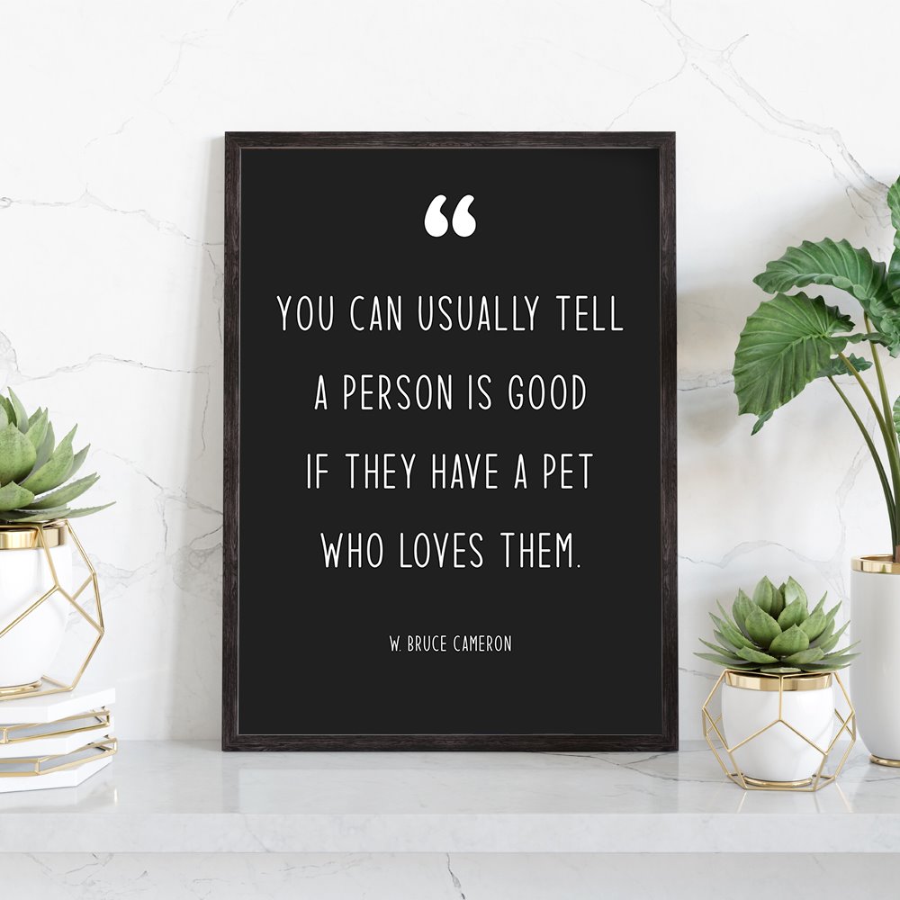 Modern Pet Quotes