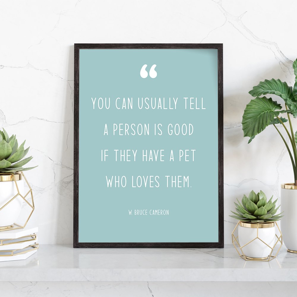 Modern Pet Quotes