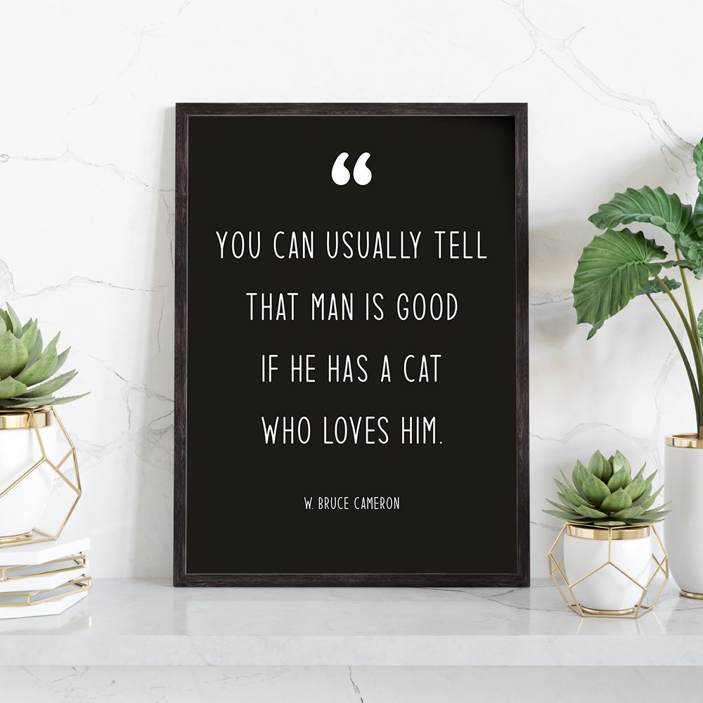 Modern Pet Quotes