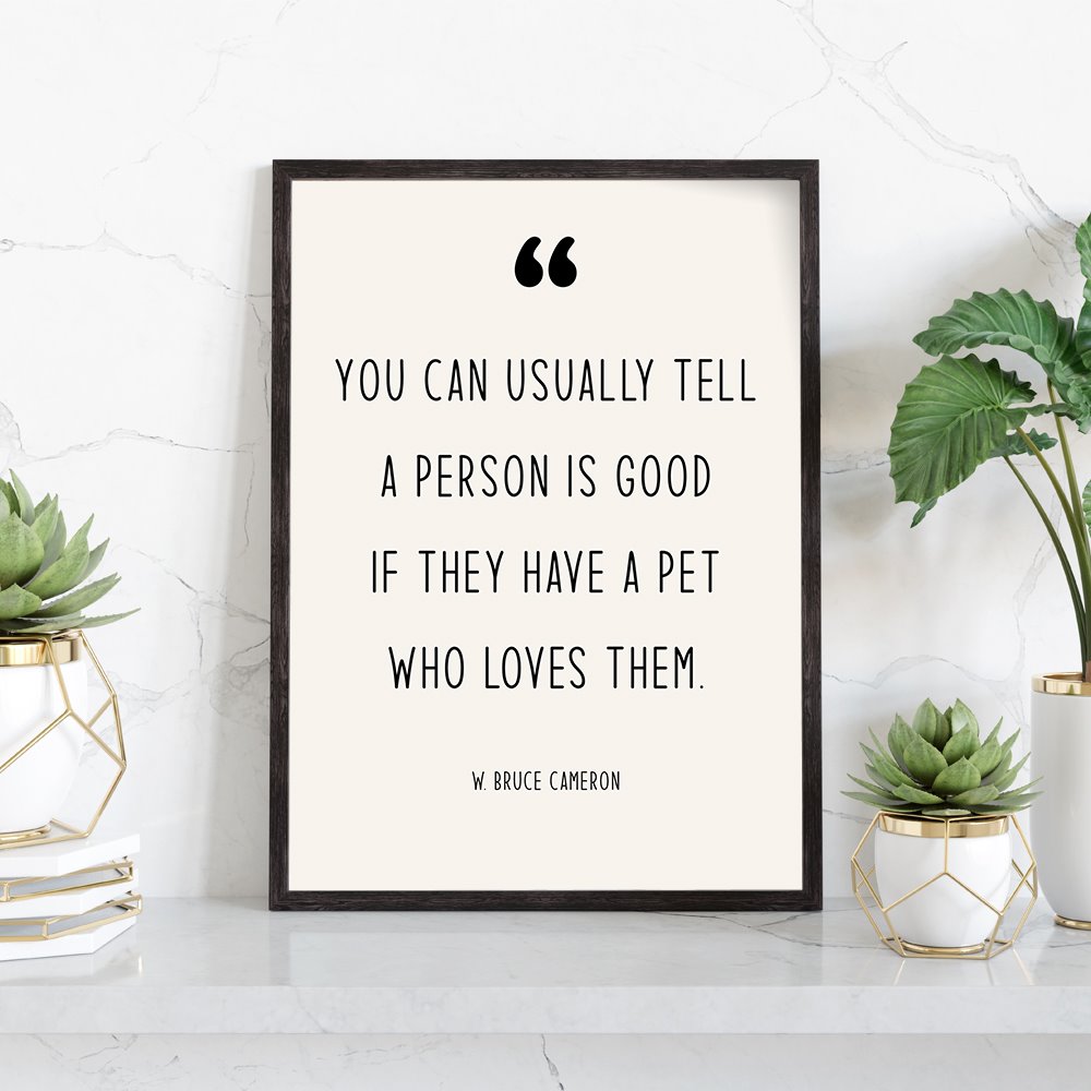 Modern Pet Quotes