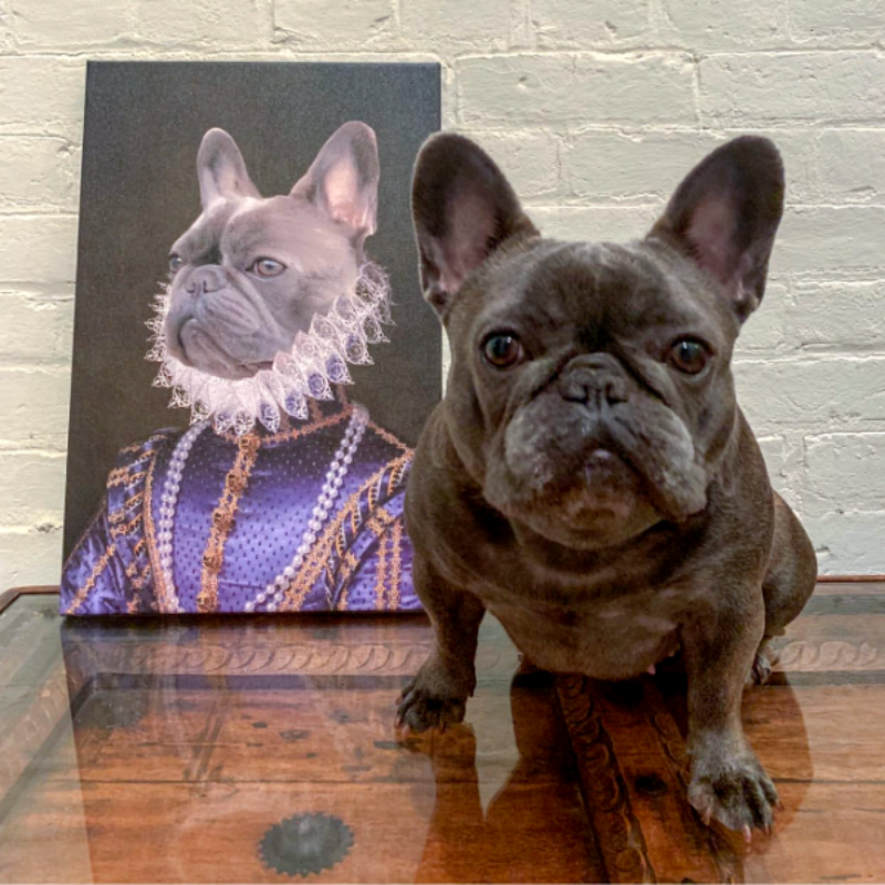 The Socialite Custom Pet Portrait - Pet Portraits