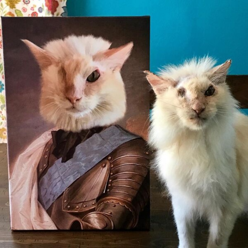 Knight Custom Pet Portrait - Pet Portraits