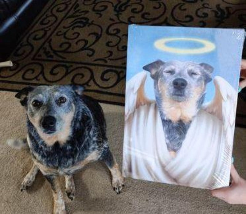 Angel