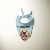 Thumbnail for Personalized Pet Bandanas