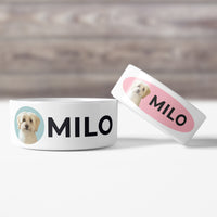 Thumbnail for Custom Pet Bowls