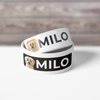 Thumbnail for Custom Pet Bowls