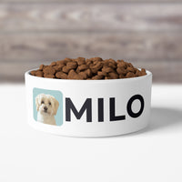 Thumbnail for Custom Pet Bowls