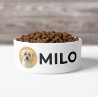 Thumbnail for Custom Pet Bowls