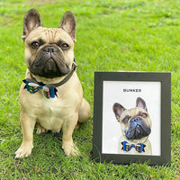 Thumbnail for Modern Pet Portrait (1 Pet)