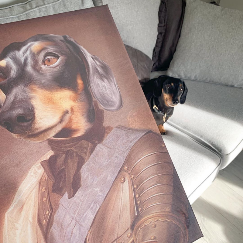 Knight Custom Pet Portrait - Pet Portraits