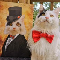 Thumbnail for Top Hat & Monocle