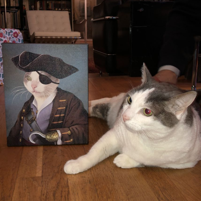 Pirate Pet Art
