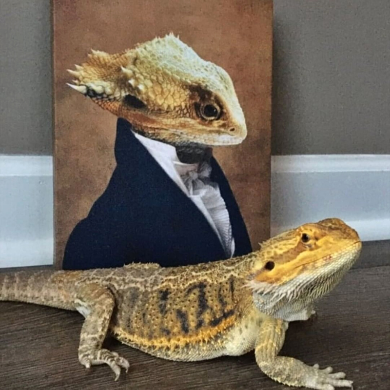 Statesman