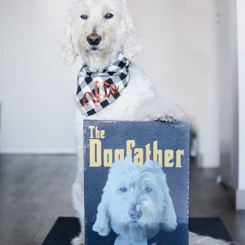 The Dogfather