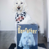 Thumbnail for The Dogfather