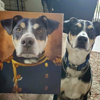 Thumbnail for Commander