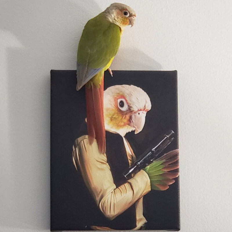 The Smuggler
