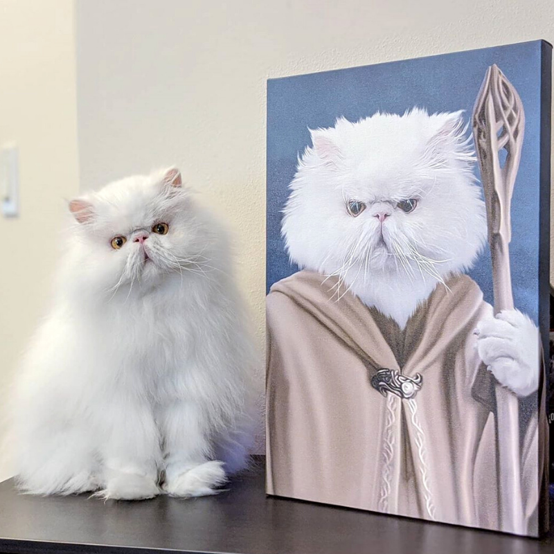 Wizard Pawndalf