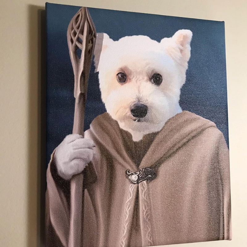 Wizard Pawndalf