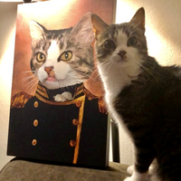 Thumbnail for Commander