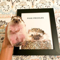 Thumbnail for Modern Pet Portrait (1 Pet)