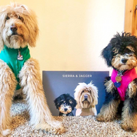 Thumbnail for Modern Pet Portrait (2 Pets)