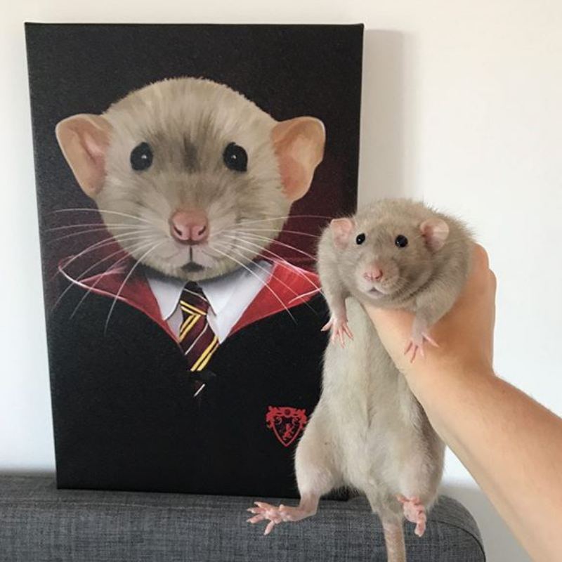 House Gryffinpaw - Pet Portrait