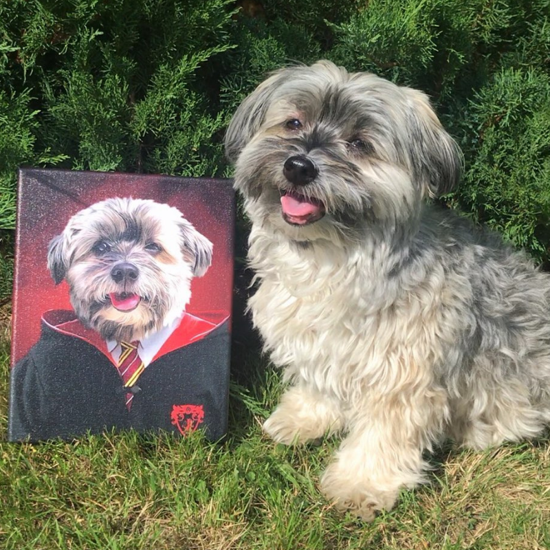 House Gryffinpaw - Pet Portrait