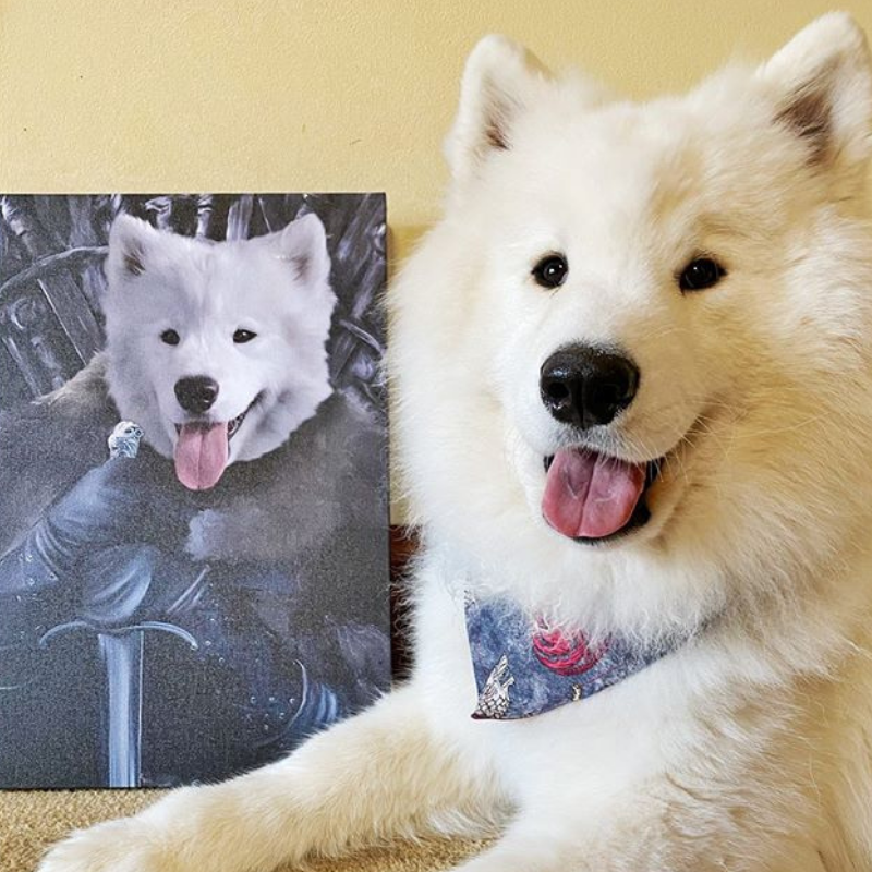 King of the North
