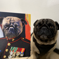 Thumbnail for Marine