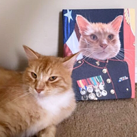 Thumbnail for Marine