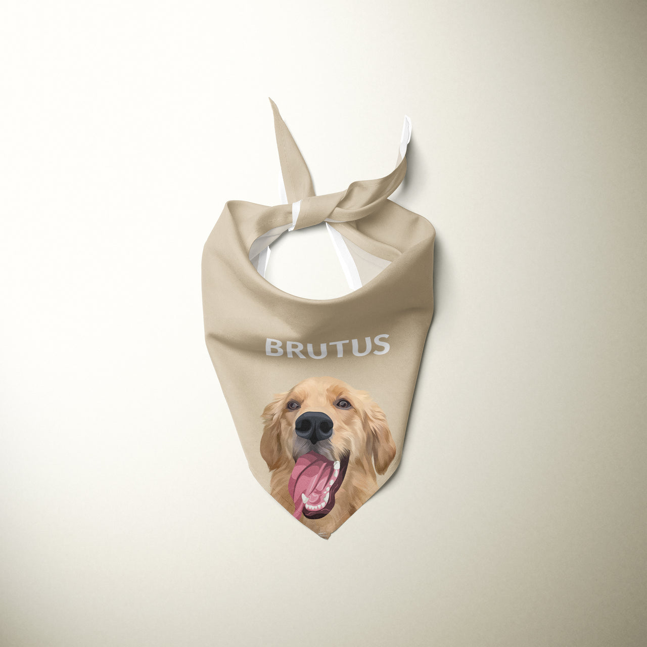 Personalized Pet Bandanas