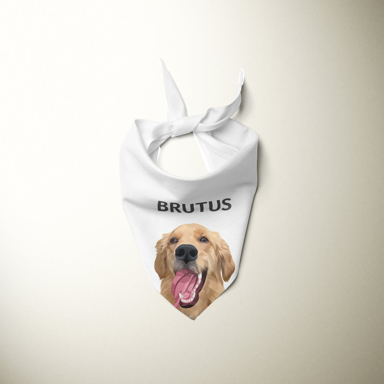 Personalized Pet Bandanas