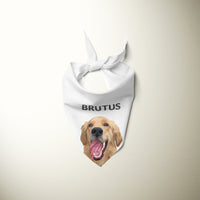 Thumbnail for Personalized Pet Bandanas