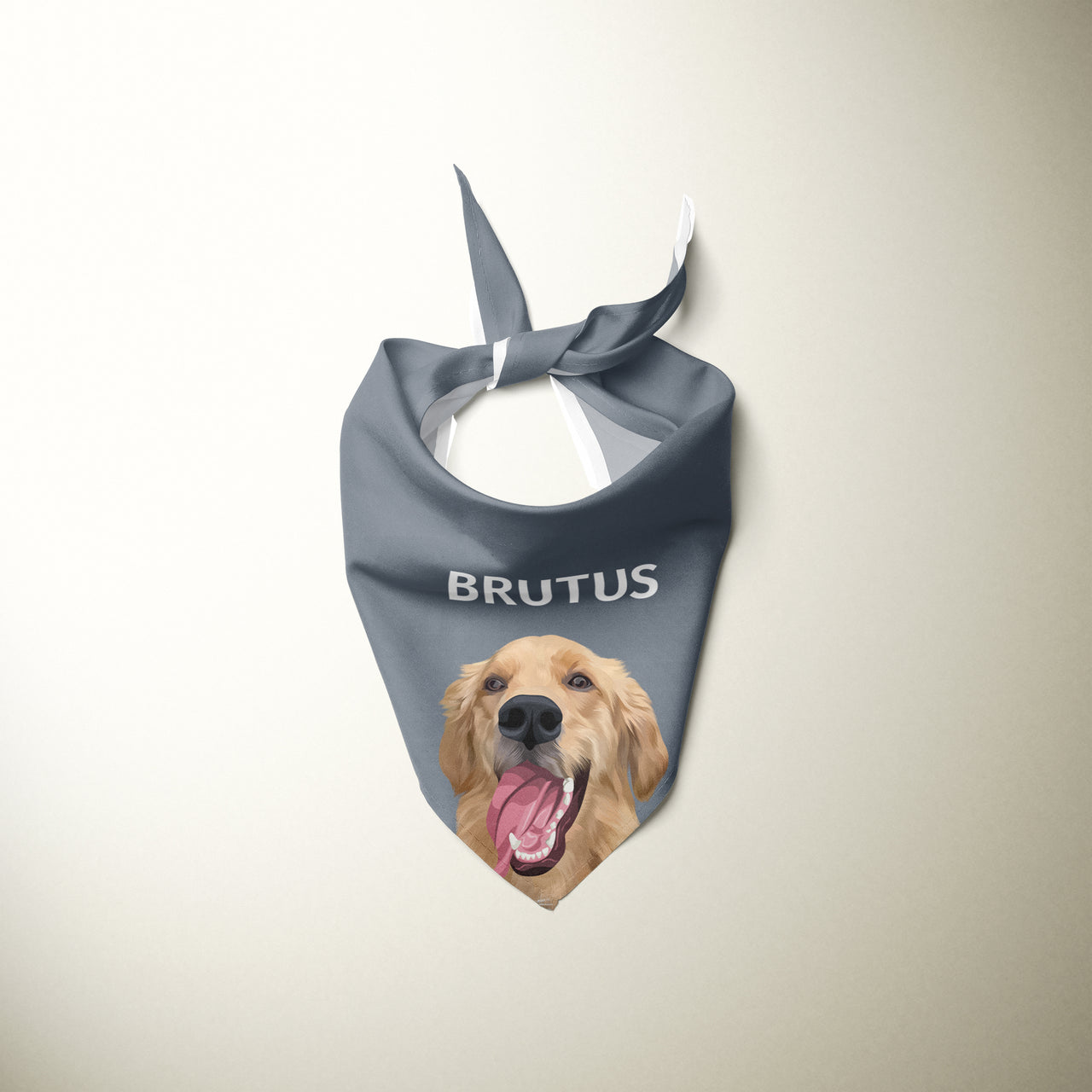 Personalized Pet Bandanas