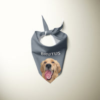 Thumbnail for Personalized Pet Bandanas