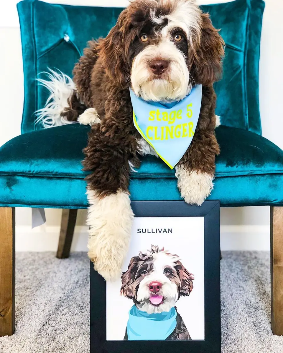 Dog posing above a personalized framed portrait