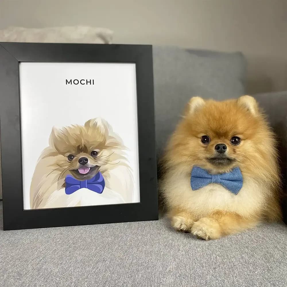 Pomeranian beside a personalized framed pet portrait