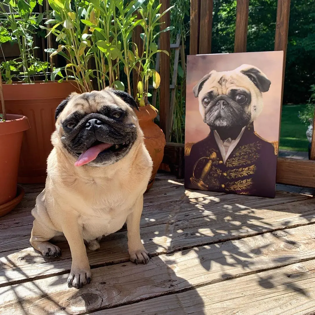 Pug posing beside a personalized royal pet portrait
