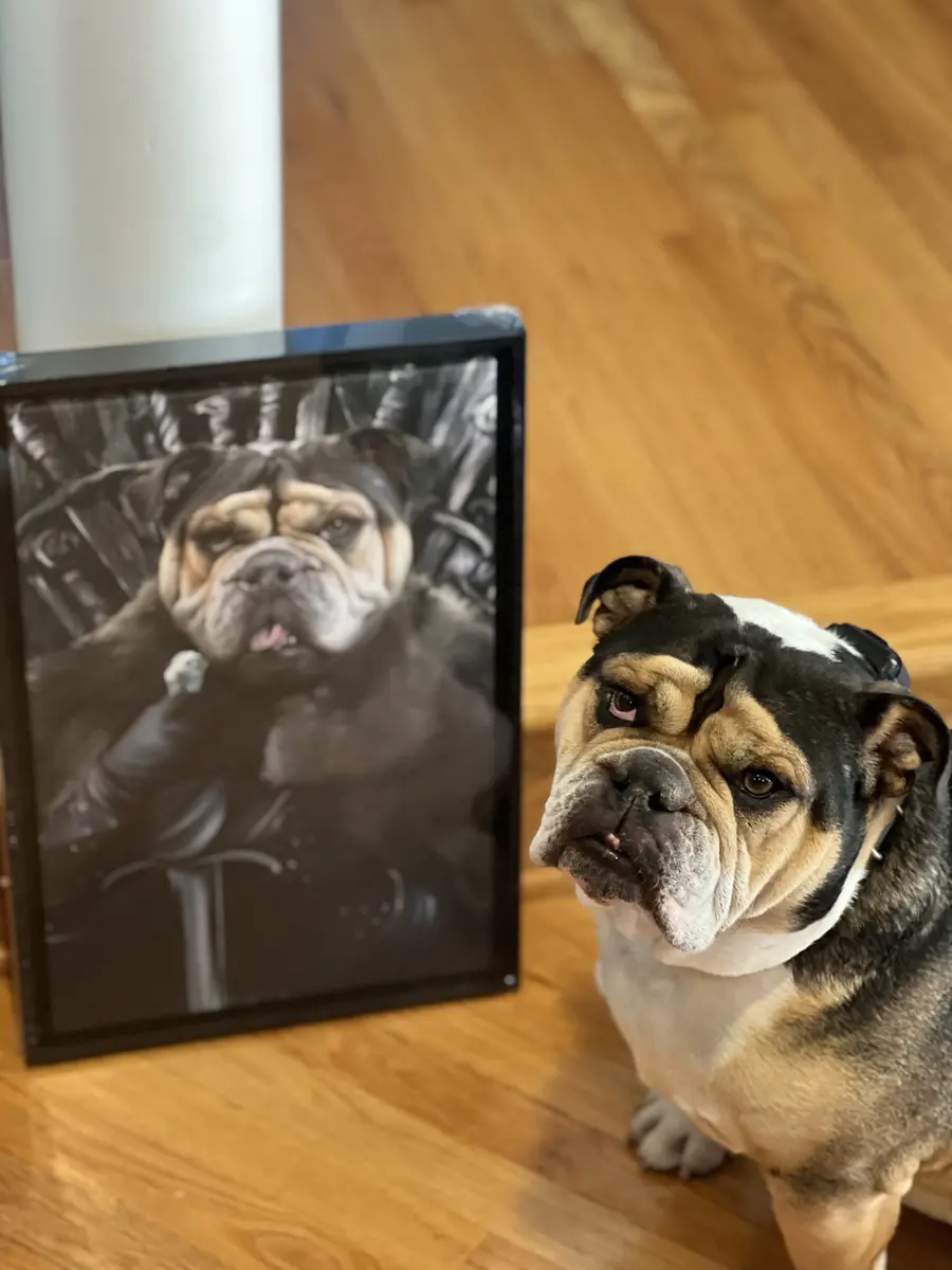 Bulldog beside a personalized framed portrait
