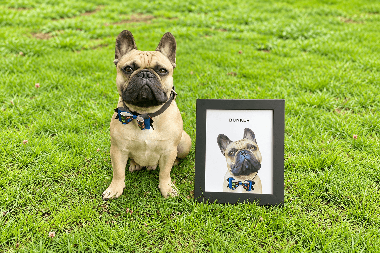 A French bulldog beside a framed portrait with the same bow tie