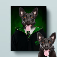 Thumbnail for House Slytherpaw