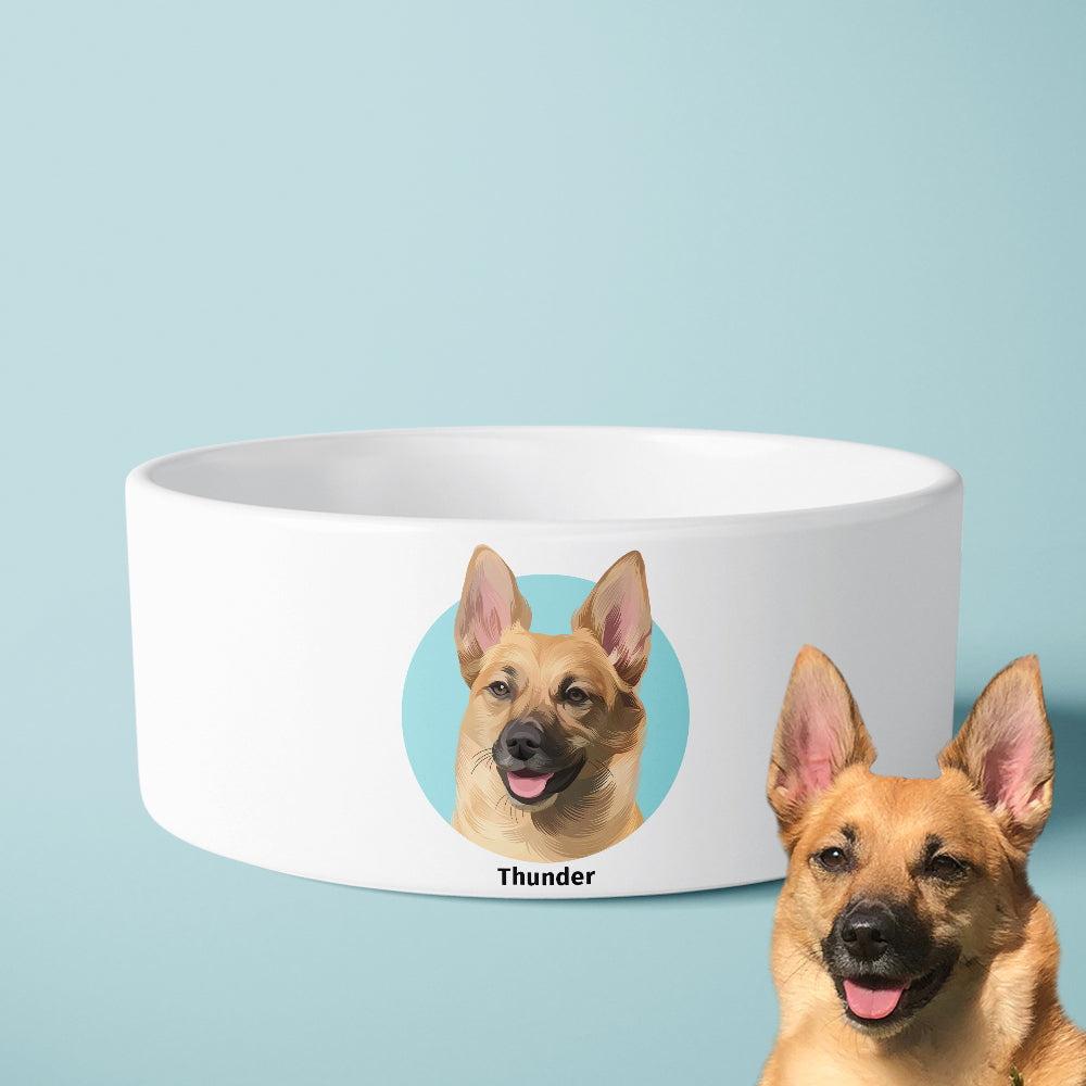 Modern Design Pet Bowls