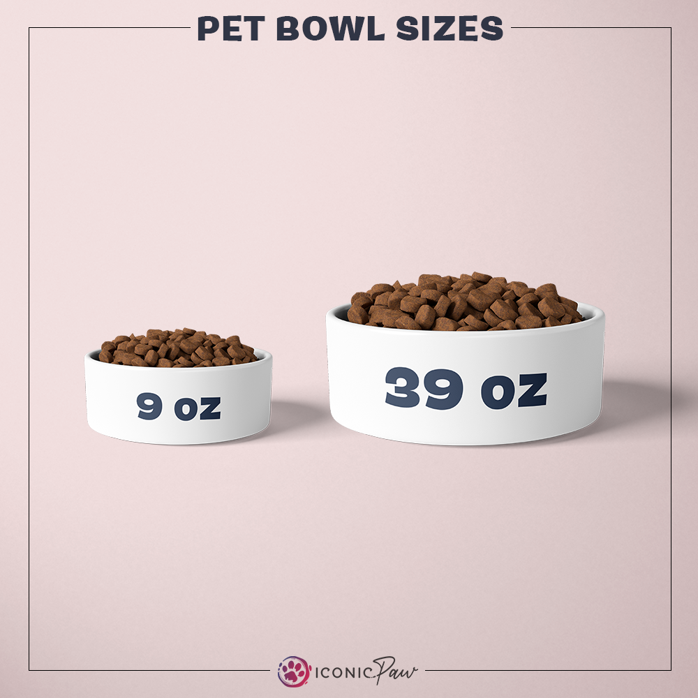 Modern Design Pet Bowls